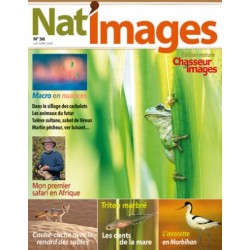 NAT'IMAGES 38 - JUIN-JUILLET 2016