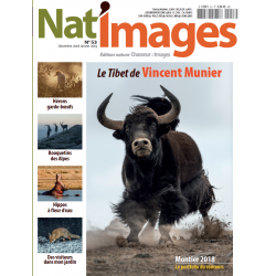 NAT'IMAGES 53 - DECEMBRE/JANVIER 2019