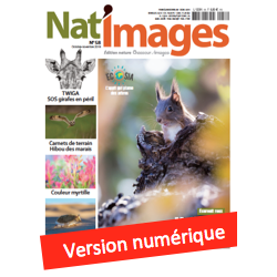 Nat'Images numérique 58