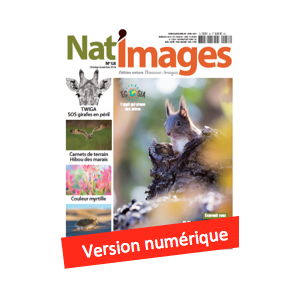 Nat'Images numérique 58