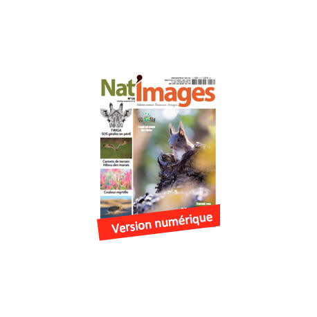 Nat'Images numérique 58 Nat'Images numérique 58