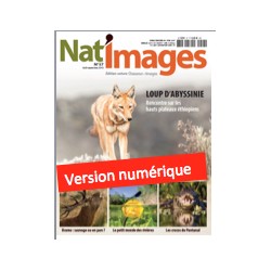 Nat'Images numérique 57