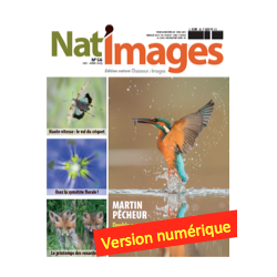 Nat'Images numérique 56