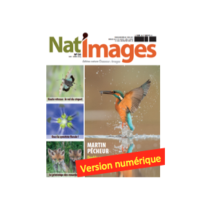 Nat'Images numérique 56