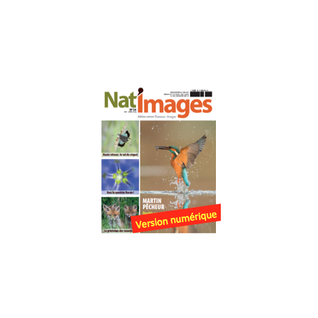 Nat'Images numérique 56