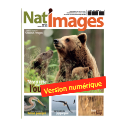 Nat'Images numérique 54