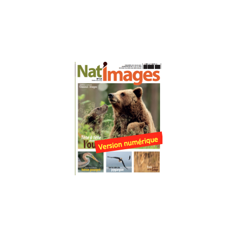 Nat'Images numérique 54
