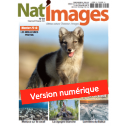 Nat'Images numérique 59