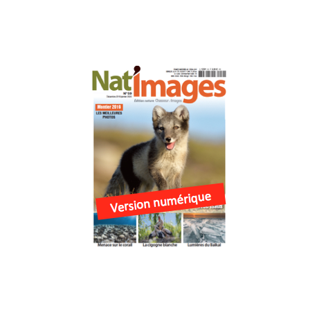 Nat'Images numérique 59