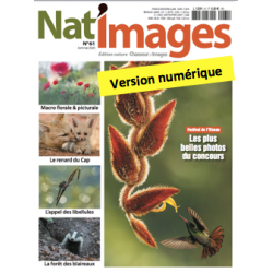 Nat'Images numérique 61