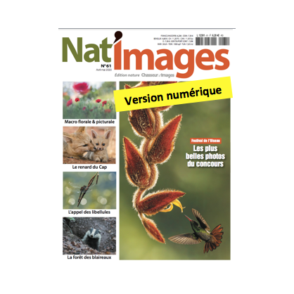 Nat'Images numérique 61