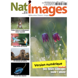 Nat'Images numérique 62