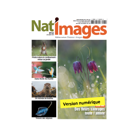 Nat'Images numérique 62