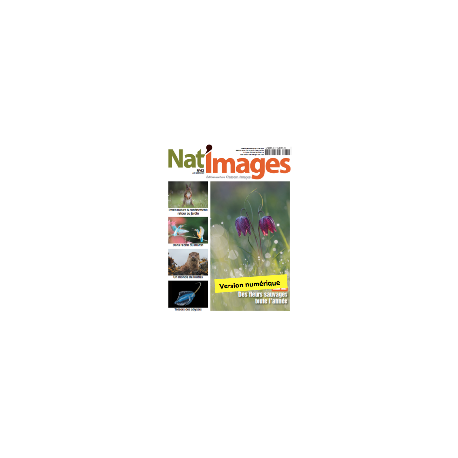 Nat'Images numérique 62