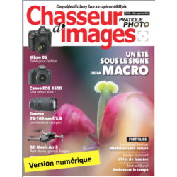 Chasseur d'Images Numérique-422