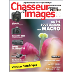 Chasseur d'Images Numérique-423