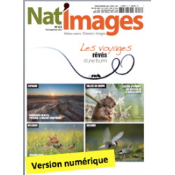 Nat'Images numérique 63