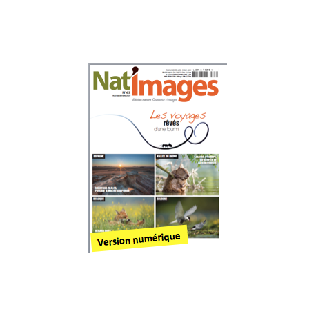 Nat'Images numérique 63 Nat'Images numérique 63