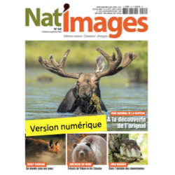 Nat'Images numérique 64