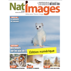 Nat'Images numérique 65
