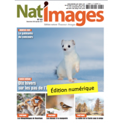 Nat'Images numérique 64