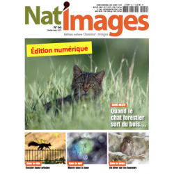 Nat'Images numérique 64