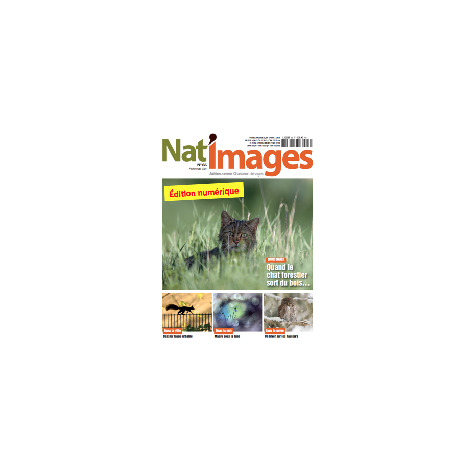 Nat'Images numérique 64