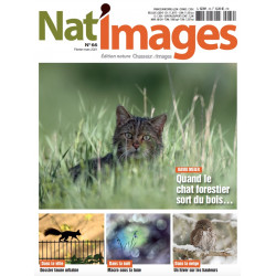 Nat'Images numérique 64