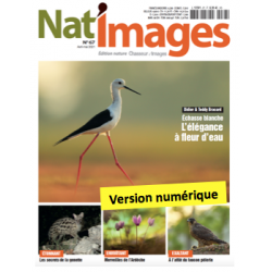 Nat'Images numérique 67