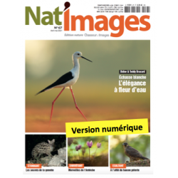 Nat'Images numérique 64