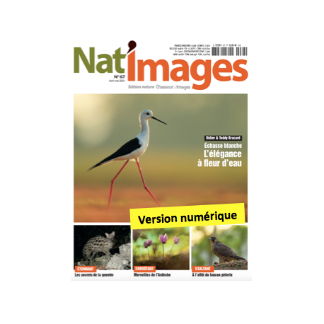 Nat'Images numérique 64 Nat'Images numérique 64