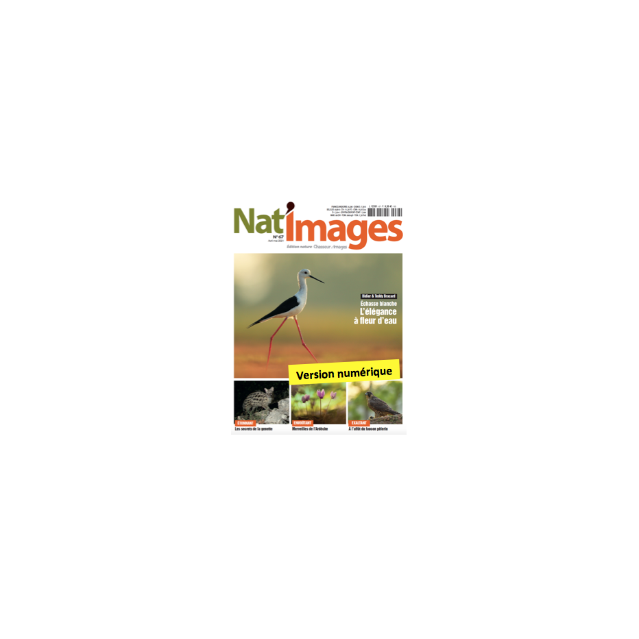 Nat'Images numérique 64