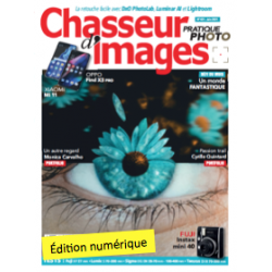 Chasseur d'Images Numérique-431