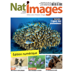 Nat'Images numérique 68