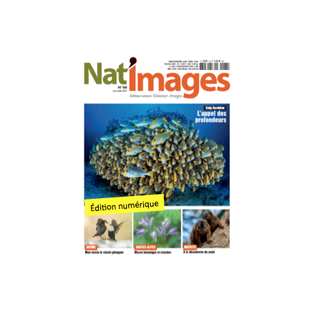 Nat'Images numérique 68