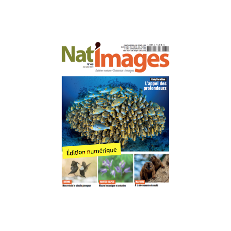 Nat'Images numérique 68 Nat'Images numérique 68