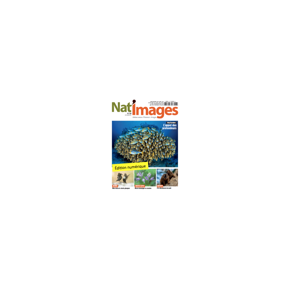 Nat'Images numérique 68