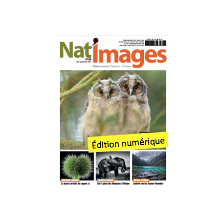 Nat'Images numérique 69 Nat'Images numérique 69