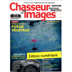 Chasseur d'Images Numérique-435