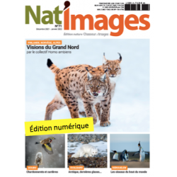 Nat'Images numérique 71