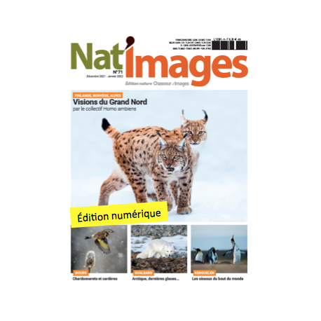 Nat'Images numérique 71