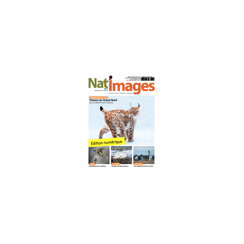 Nat'Images numérique 71