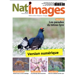 Nat'Images numérique 72