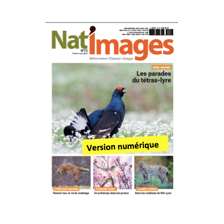 Nat'Images numérique 72