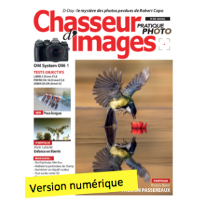 Chasseur d'Images Numérique-438