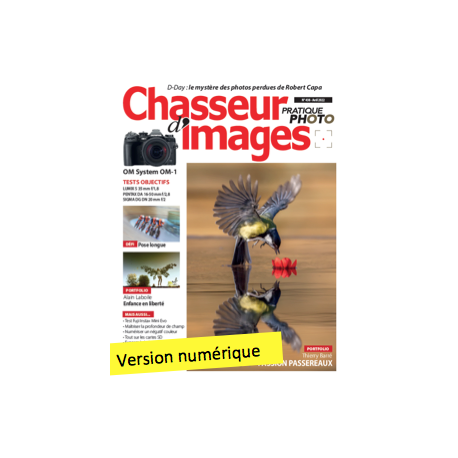 Chasseur d'Images Numérique-438