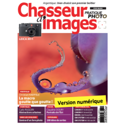 Chasseur d'Images Numérique-439