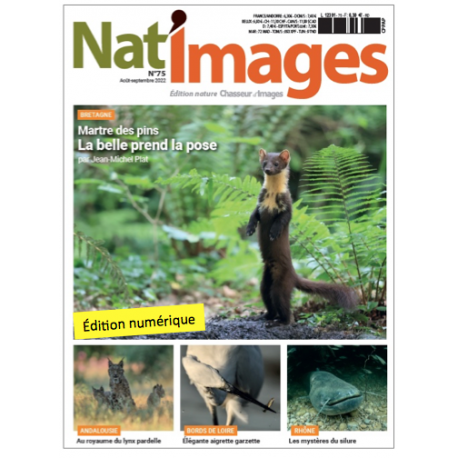 Nat'Images numérique 75 Nat'Images numérique 75