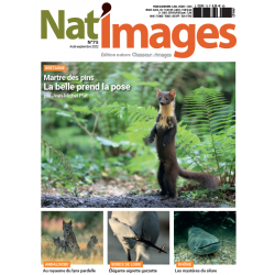 NAT'IMAGES 75 - AOUT-SEPT 2022