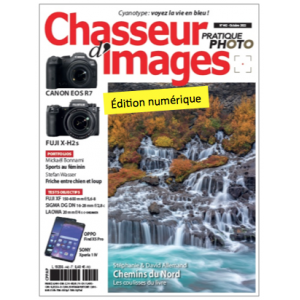 Chasseur d'Images Numérique-442